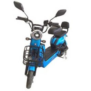 Bicicleta Electrica (Lifepo 4 – 48 V 12 Ah)
