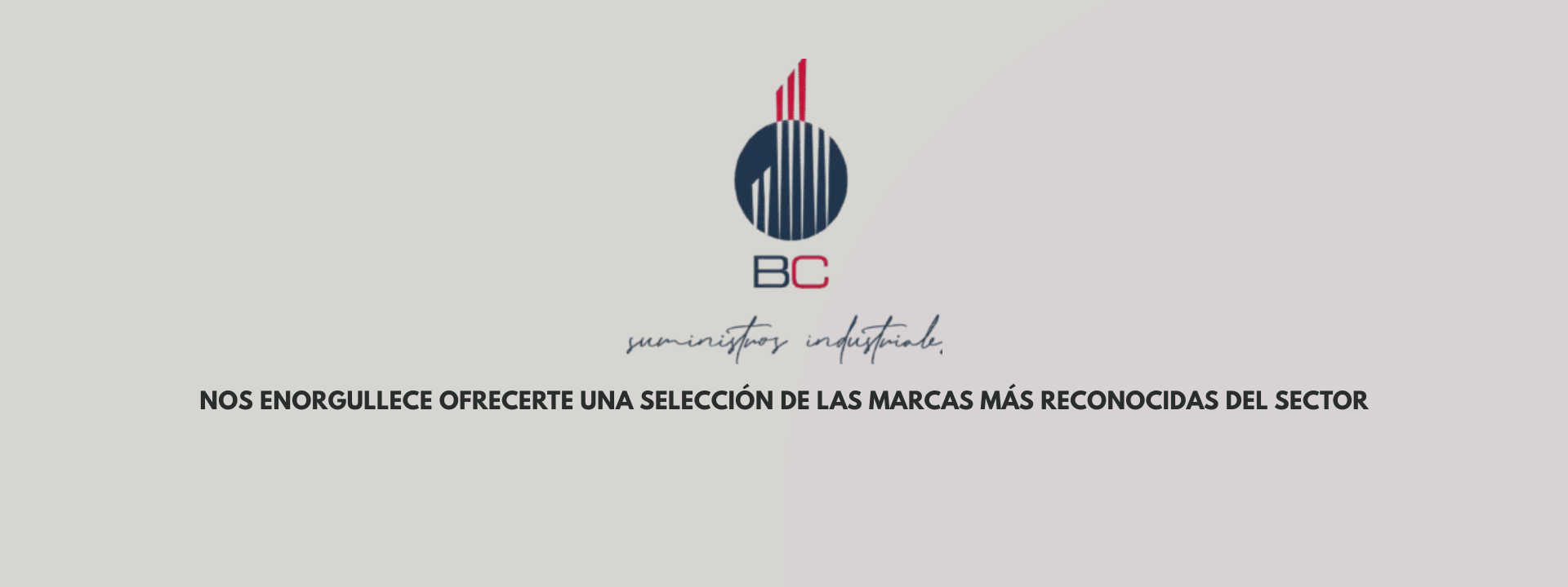 BC Suministros Industriales